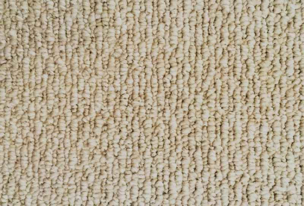 Olefin Carpet Overview: Concept, Pros And Cons, Price
